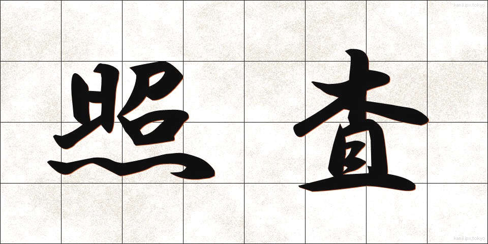 照査 (しょうさ)