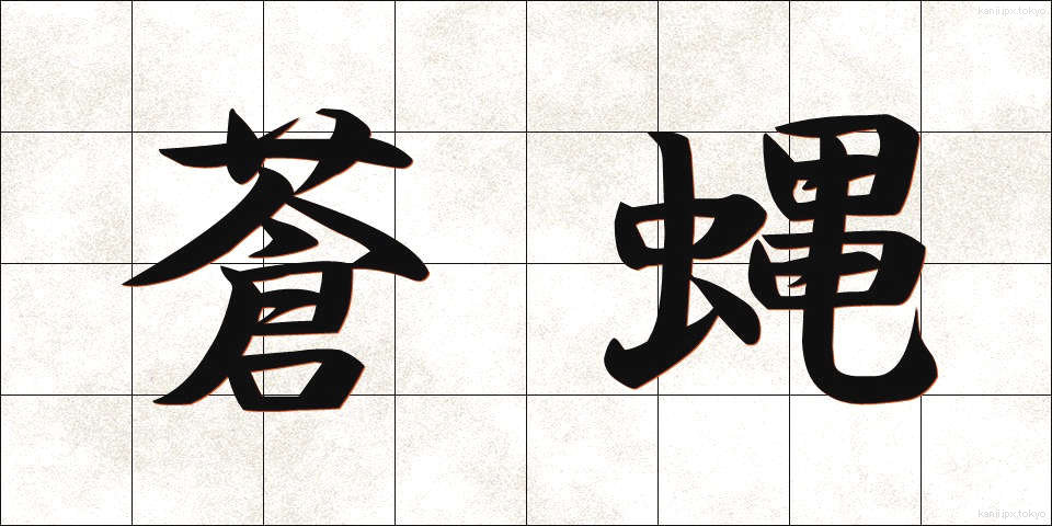 蒼蝿 (そうよう)