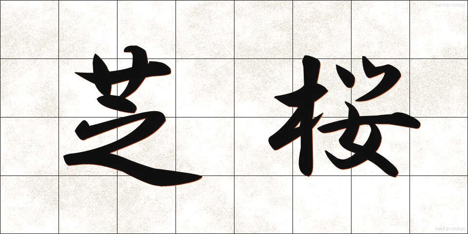 芝桜 (しばざくら)