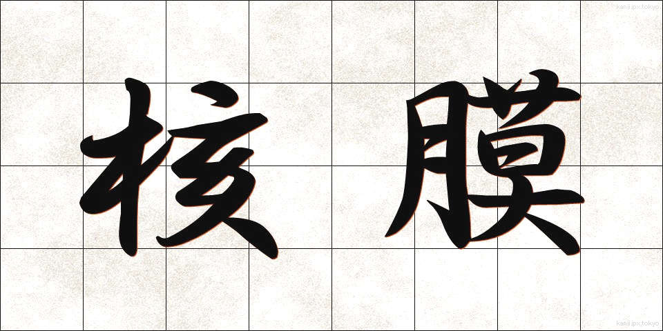 核膜 (かくまく)