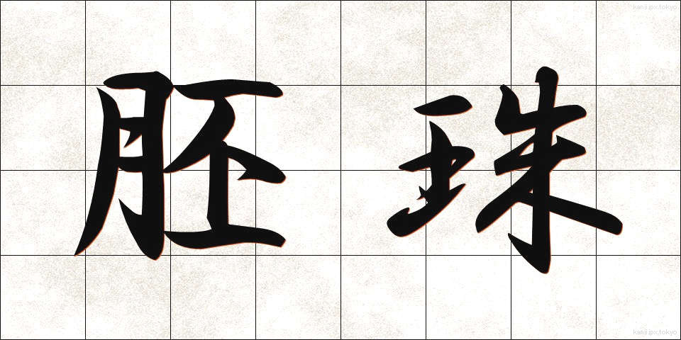 胚珠 (はいしゅ)