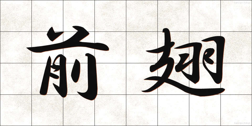 前翅 (ぜんし)