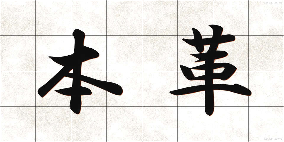 本革 (ほんがわ)