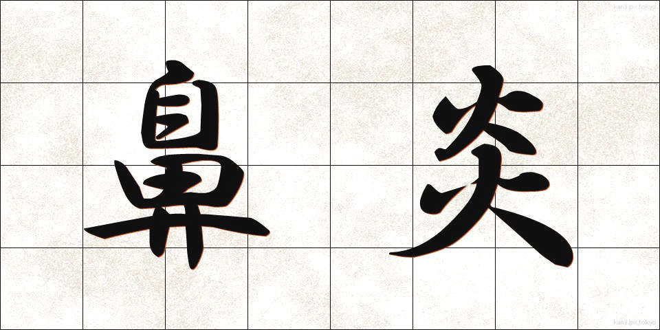 鼻炎 (びえん)