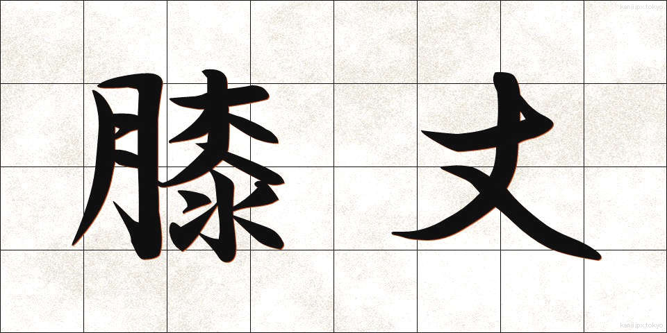 膝丈 (ひざたけ)