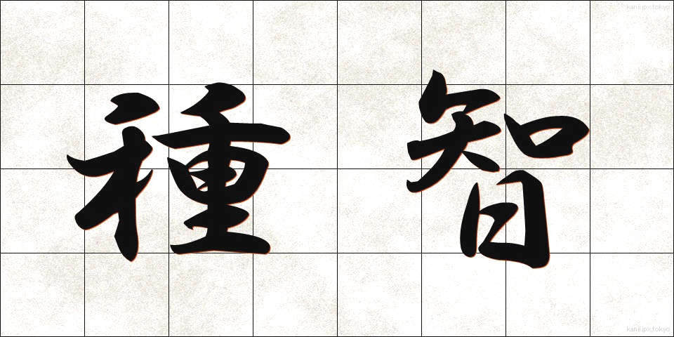 種智 (しゅち)