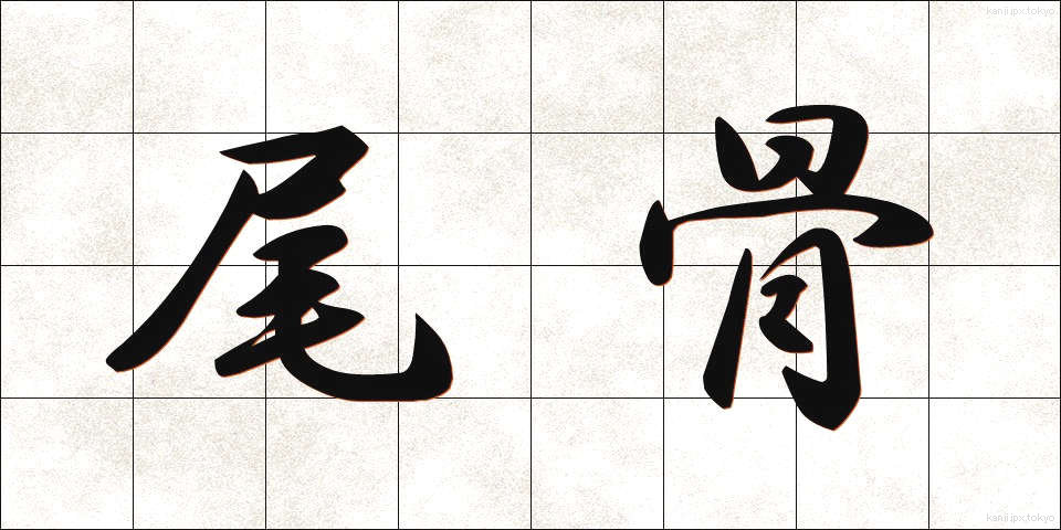 尾骨 (びこつ)