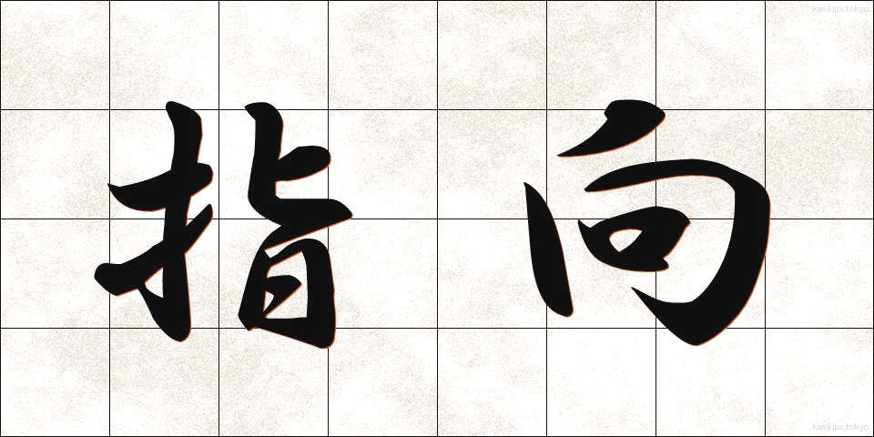 指向 (しこう)