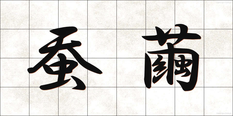 蚕繭 (かいこ)