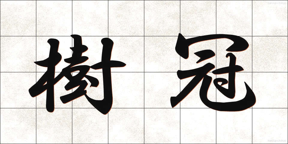樹冠 (じゅかん)