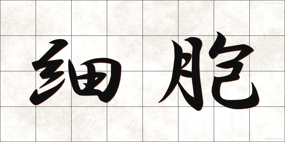 細胞 (さいぼう)
