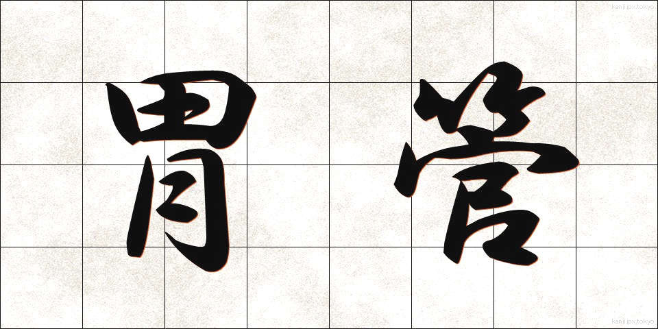 胃管 (いかん)