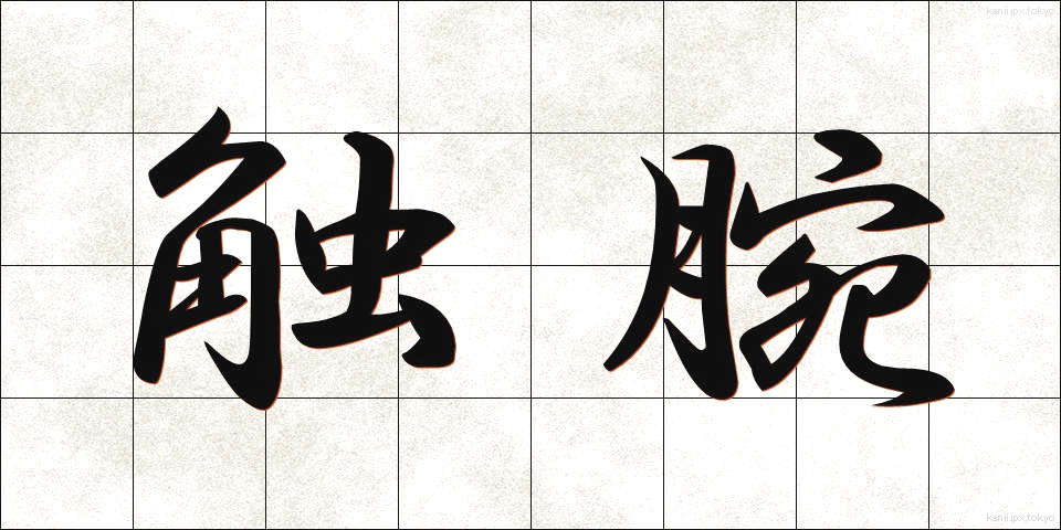 触腕 (しょくわん)