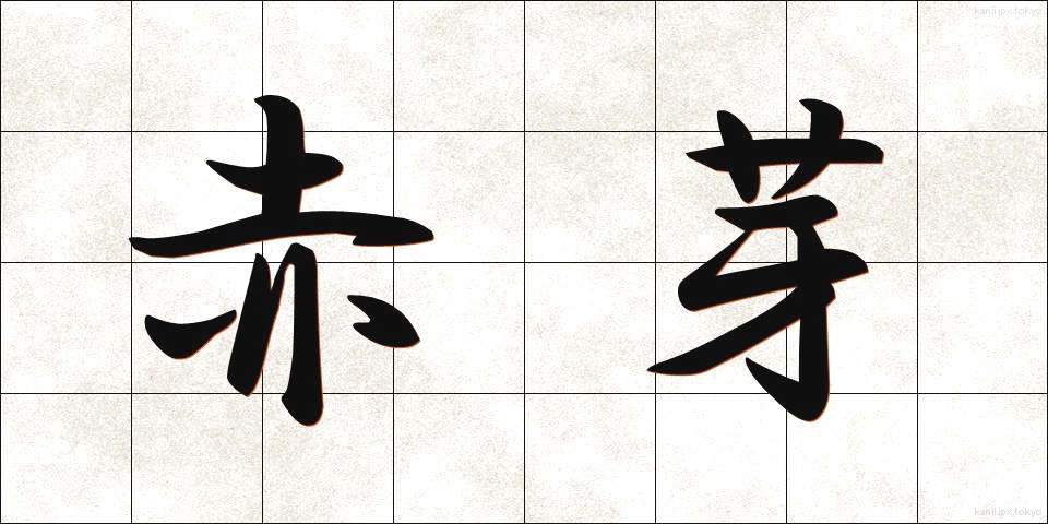 赤芽 (あかめ)