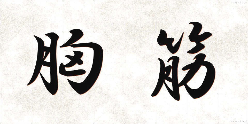 胸筋 (きょうきん)
