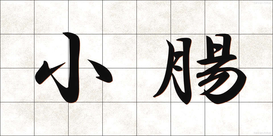小腸 (しょうちょう)