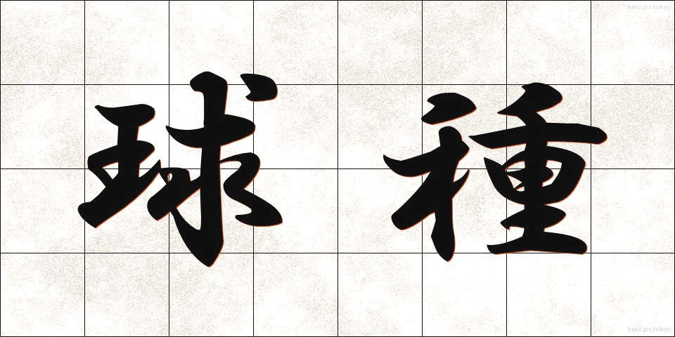 球種 (きゅうしゅ)