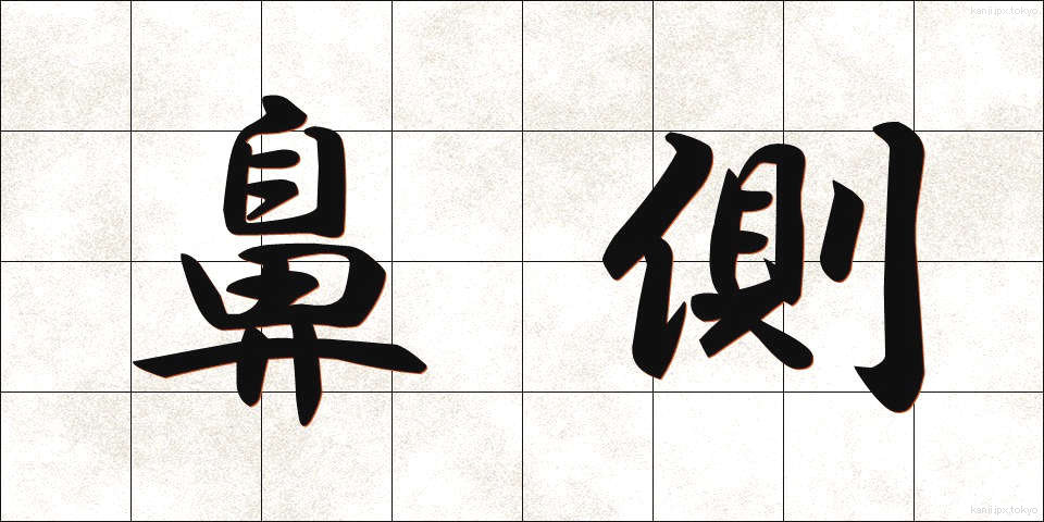 鼻側 (びそく)