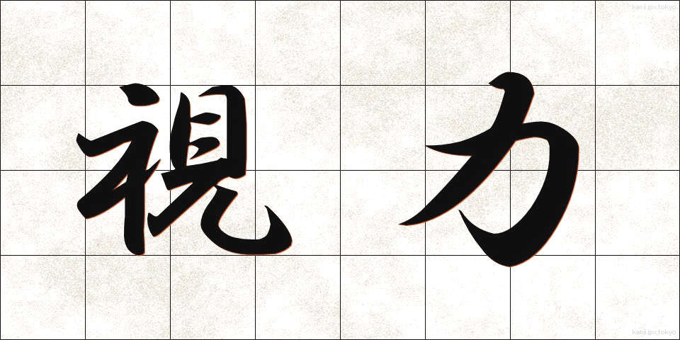 視力 (しりょく)