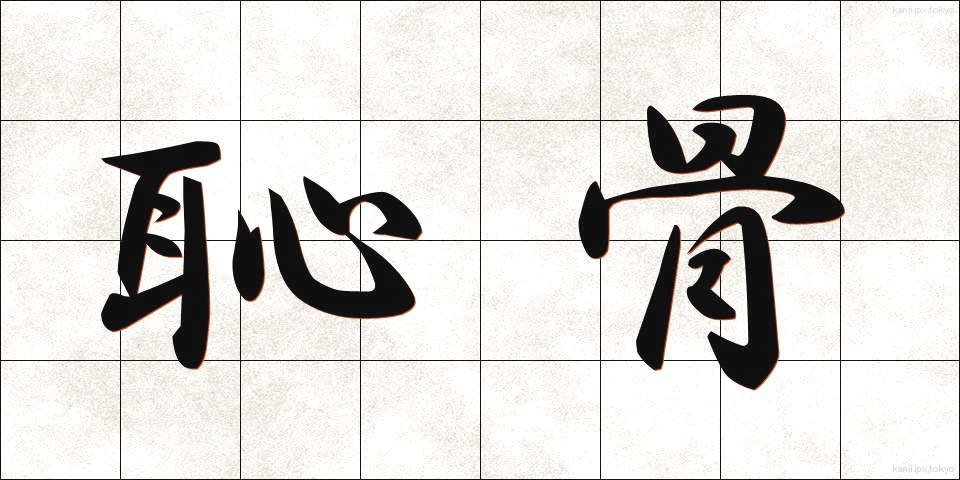 恥骨 (ちこつ)