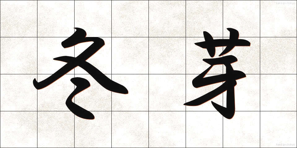 冬芽 (とうが)