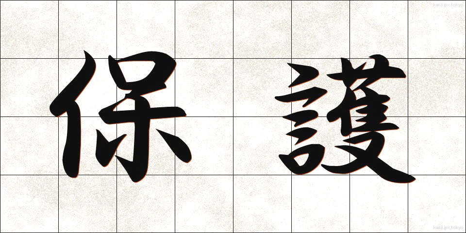 保護 (ほご)