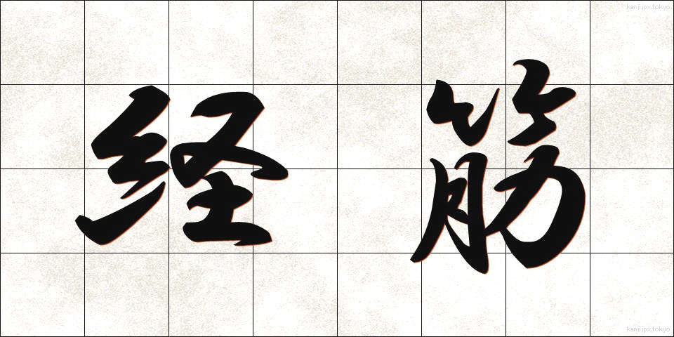 経筋 (けいきん)