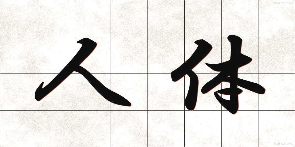 人体 (じんたい)