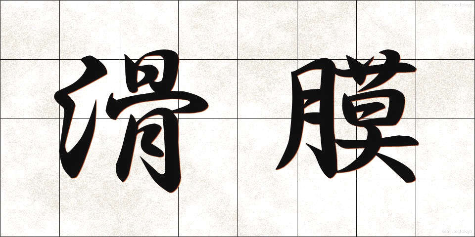 滑膜 (かつまく)