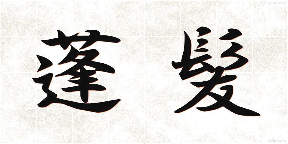 蓬髪 (ほうはつ)
