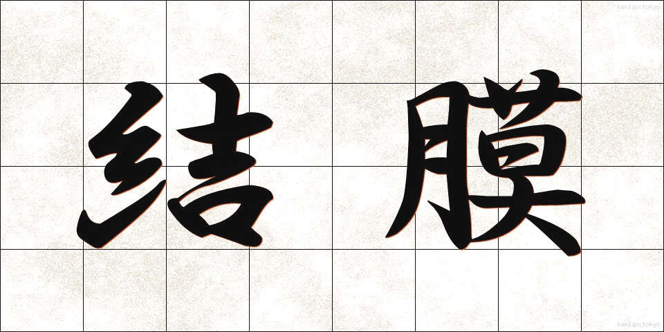 結膜 (けつまく)