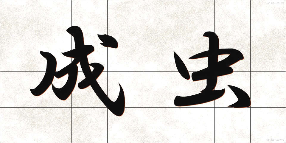 成虫 (せいちゅう)
