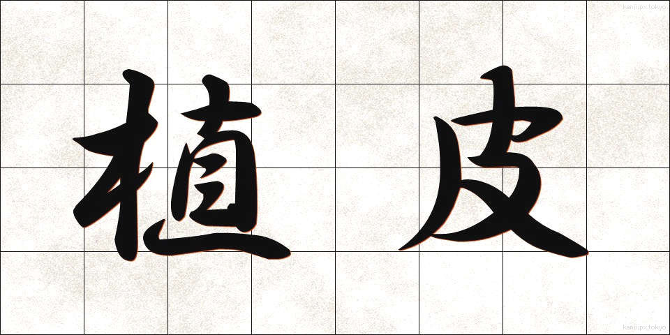 植皮 (しょくひ)