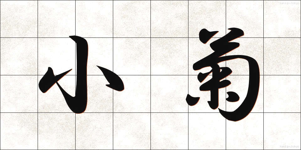 小菊 (こぎく)