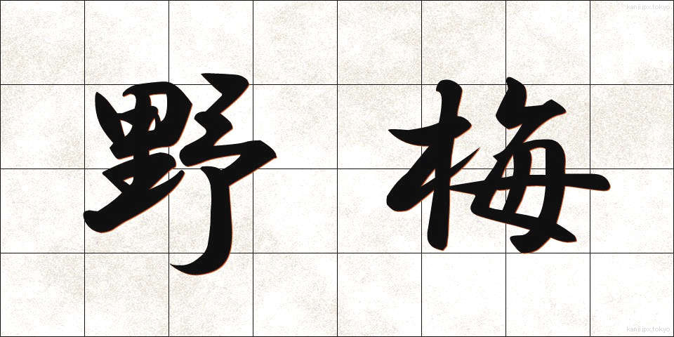 野梅 (のうめ)