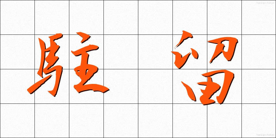 駐留 (ちゅうりゅう)