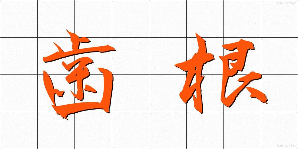 歯根 (しこん)