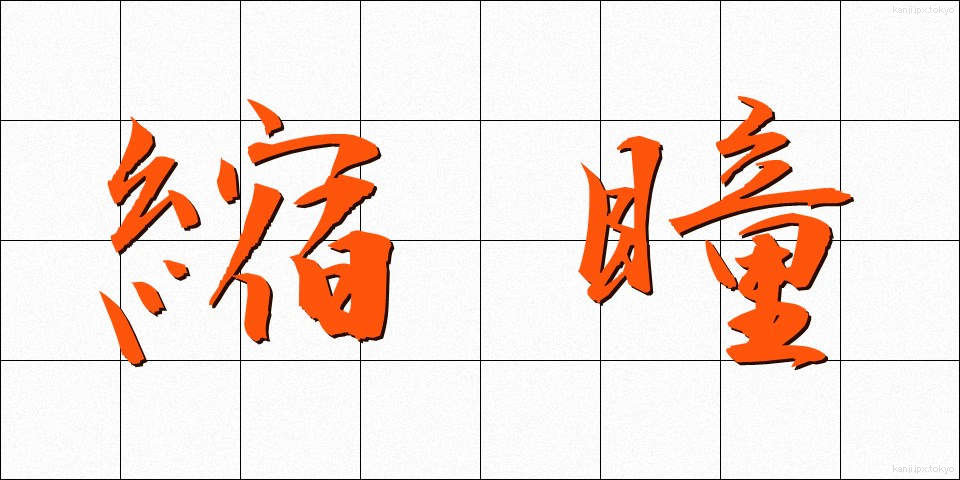 縮瞳 (しゅくどう)