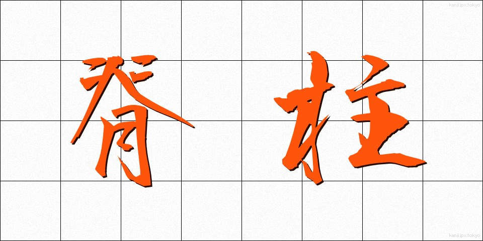 脊柱 (せきちゅう)