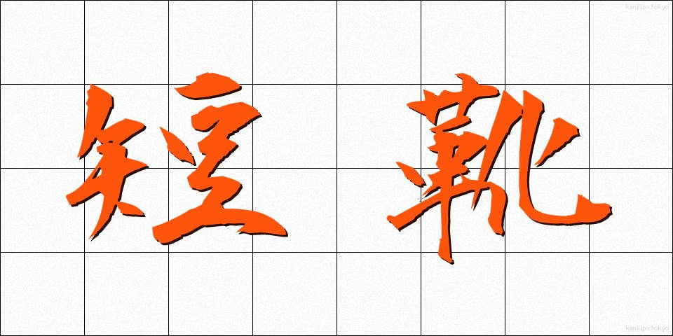 短靴 (たんぐつ)