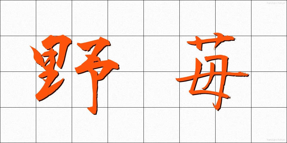 野苺 (のいちご)