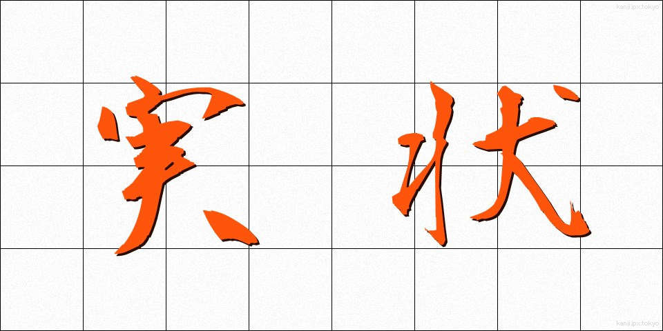 実状 (じつじょう)