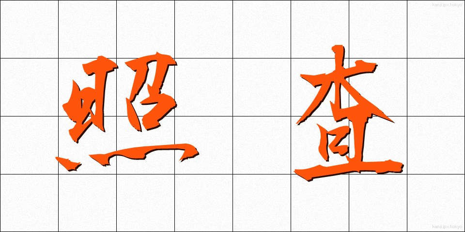 照査 (しょうさ)