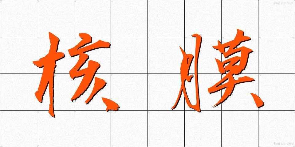 核膜 (かくまく)