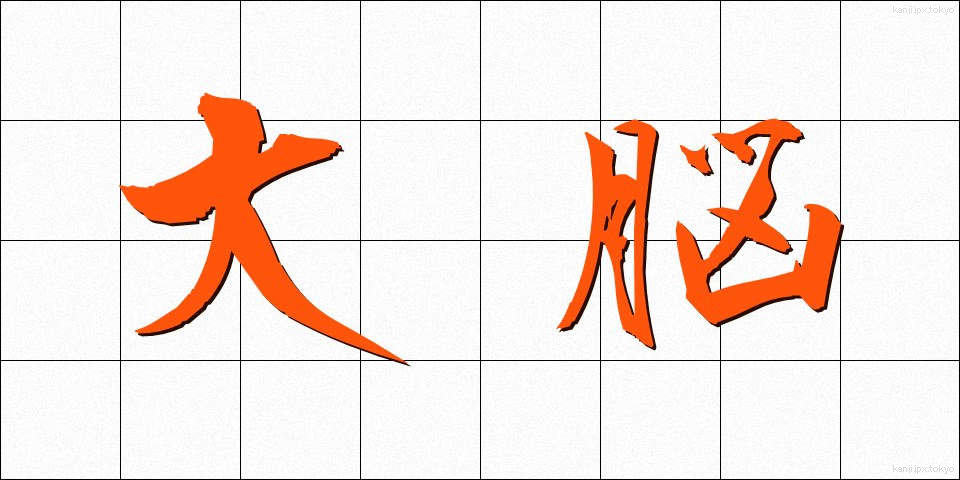 大脳 (だいのう)