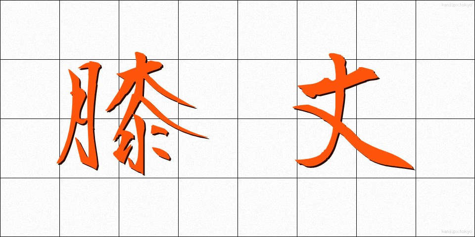 膝丈 (ひざたけ)