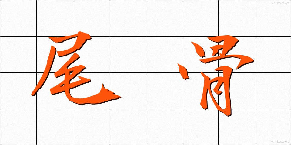 尾骨 (びこつ)