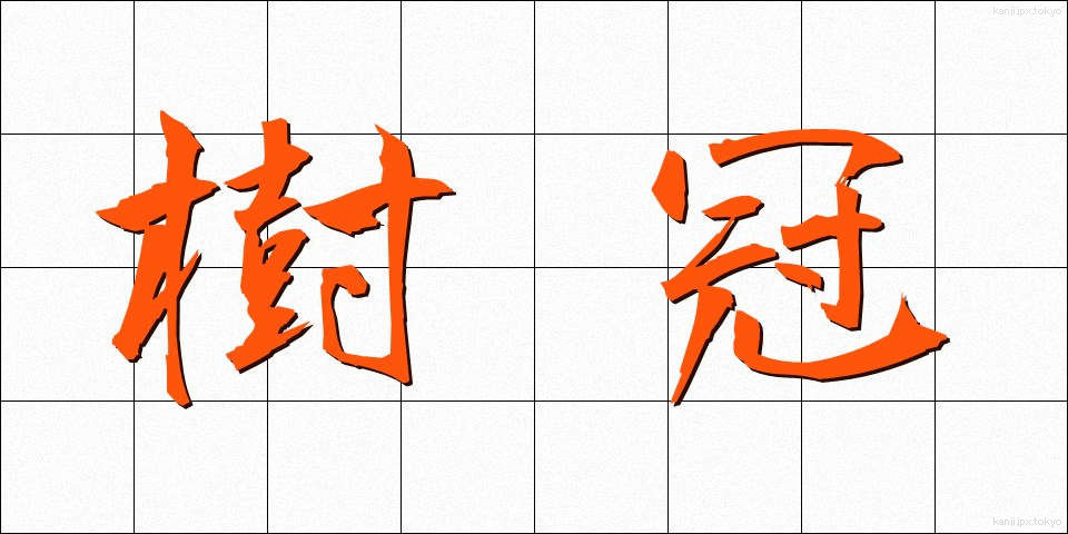 樹冠 (じゅかん)