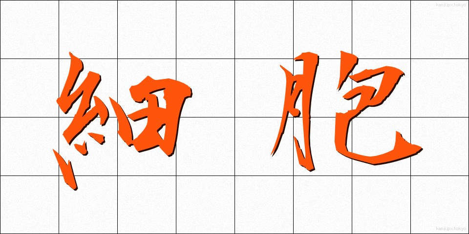 細胞 (さいぼう)