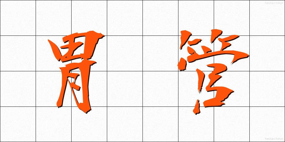 胃管 (いかん)